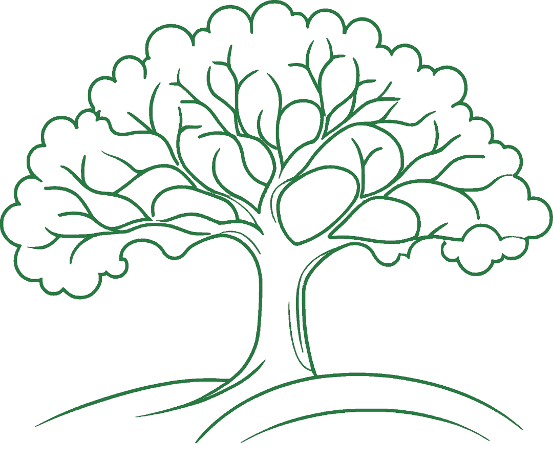 Environmental Impact
